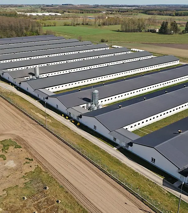 BUDOWNICTWO PRZEMYSŁOWE I OBIEKTY INWENTARSKIE